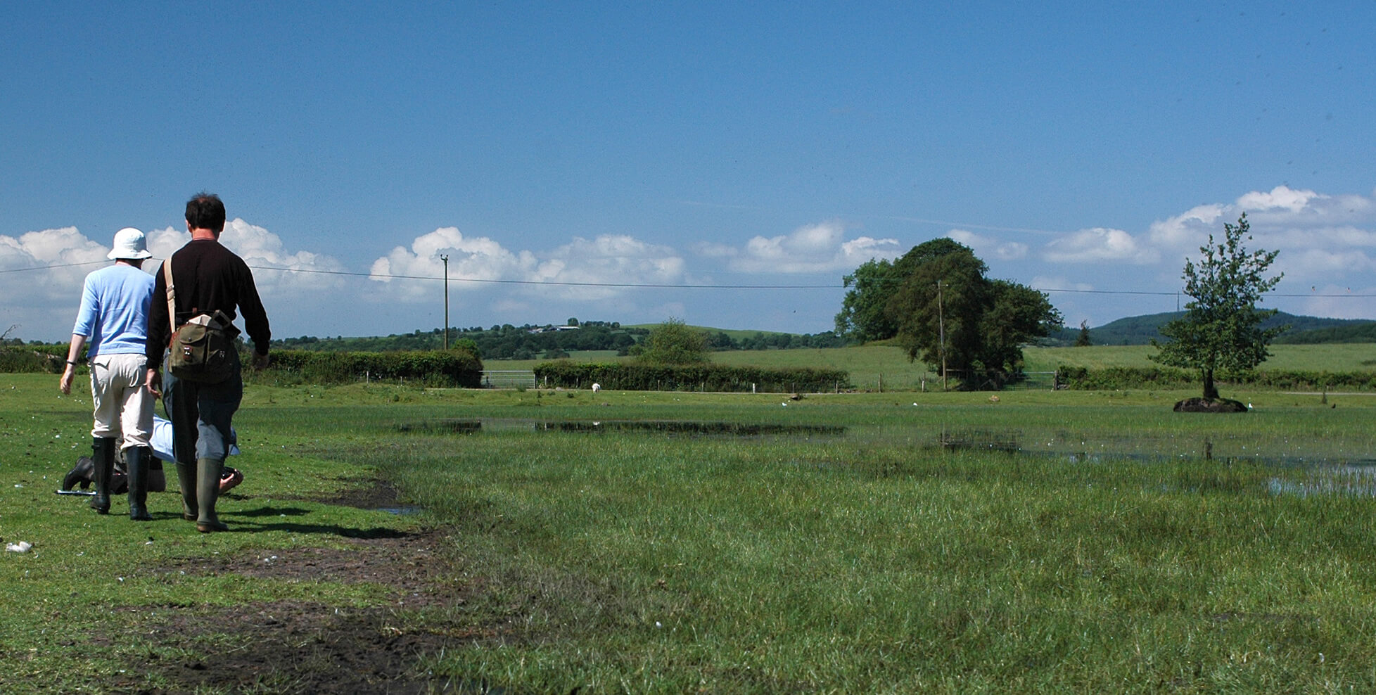 Soil Moisture