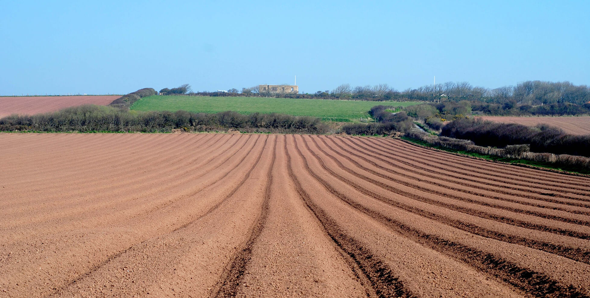 Soil Texture