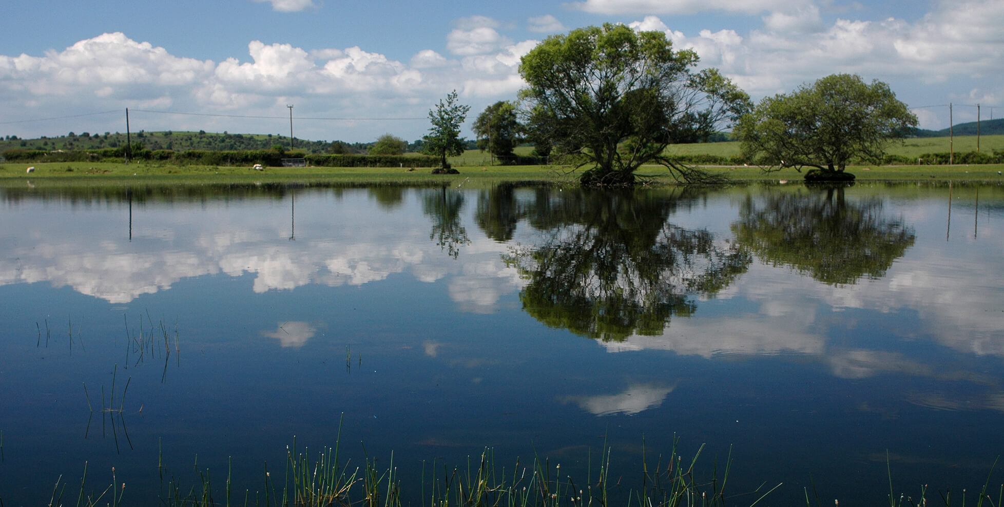 Water Seasonality