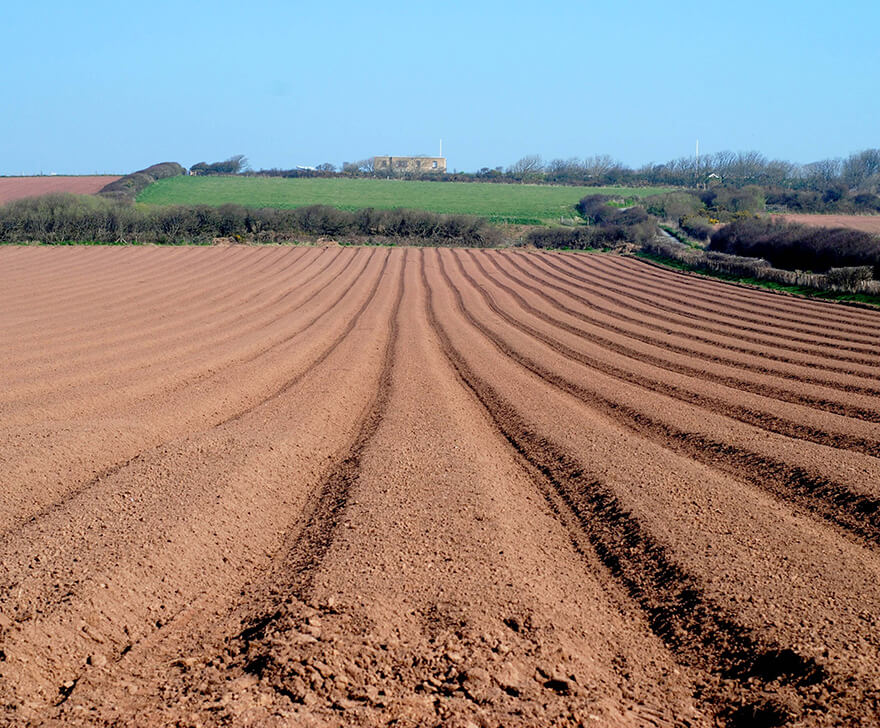 Soil Texture