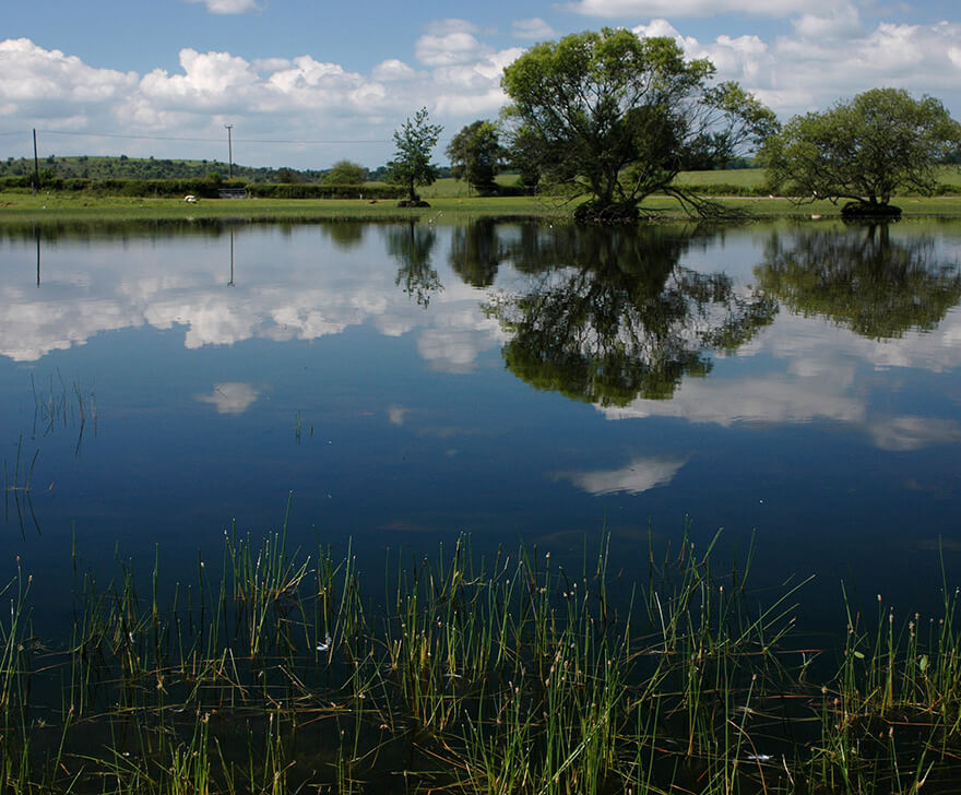 Water Seasonality