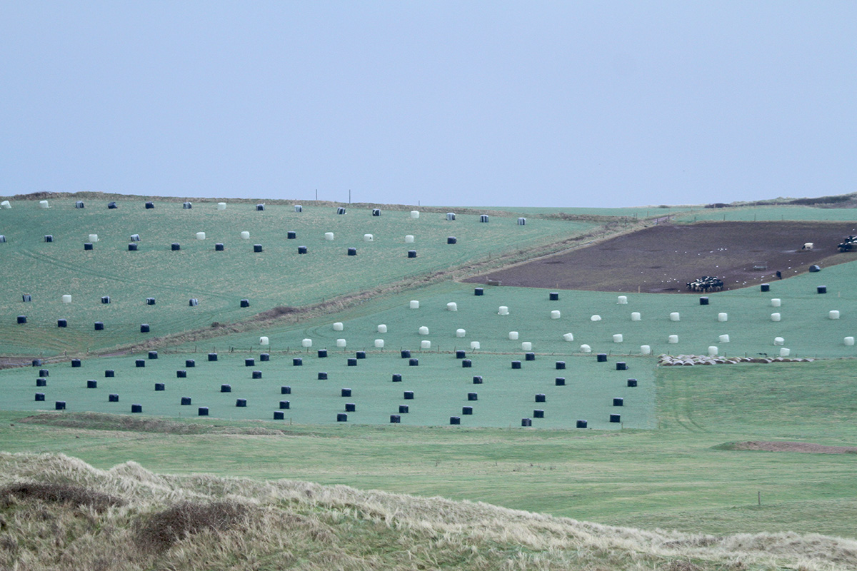 Silage