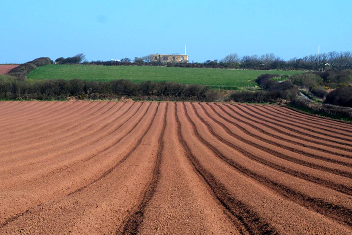 Tilled land